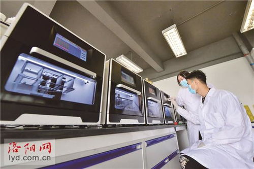洛阳造核酸提取仪 自主研发助力精准医疗新突破